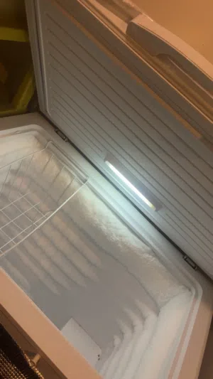 للبيع فريزر ونسا م