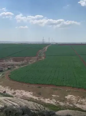Farm Land for Sale in Irbid Huwwarah