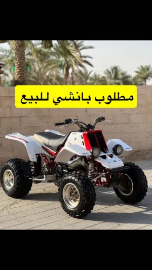 مطلووب بانشي