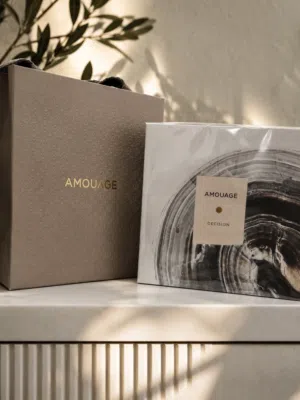 ديسجن امواج