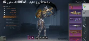 حساب ببجي للبيع