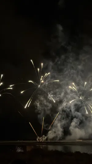 ابحث عن باص عقد 500 في حدود مسقط