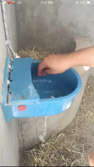عرض خاص / المشارب الاتوماتيكية صناعة تركية تحتوي على عوامه في الداخل مغطاه