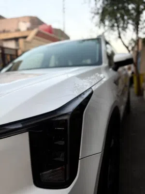 سلام عليكم بيها جاملغ وبارد شبر بل بنيد من اكلك شبر يعني شبر  مو غير شي 275وبيها مجال