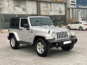 Jeep Wrangler Sahara 2010 (Silver)