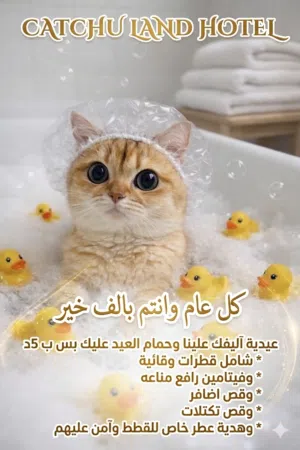 عيد سعيد ولطيف في Catchu Land Hotel