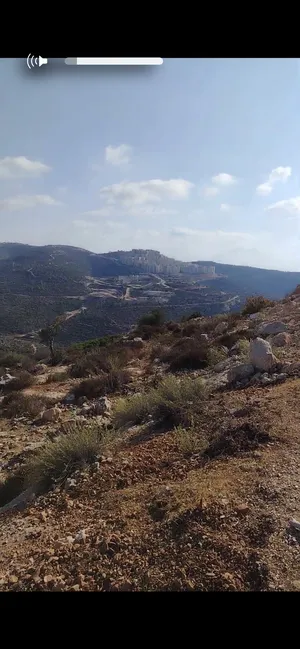 Mixed Use . 2060 m2 . Landlord3