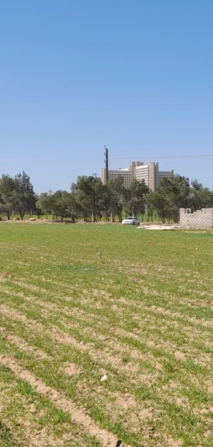 Residential Land for Sale in Ramtha Romtha