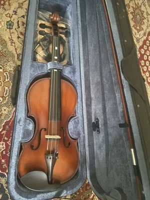 Electric Violin (used once)