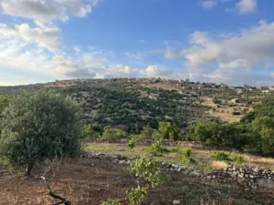 Mixed Use Land for Rent in Ajloun Other