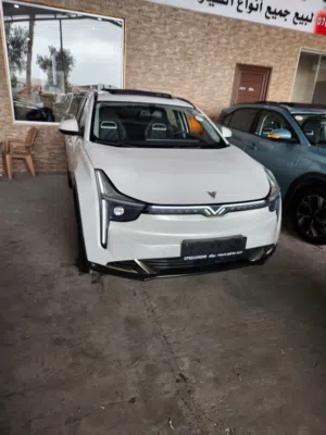 Used Neta U in Irbid