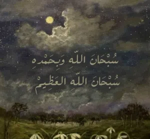 بدون مكالمة فقط وتس 