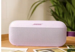 Bose sound link flex 2 Bluetooth speaker