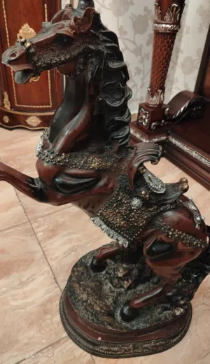 حصان فخم لبيع