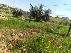 Mixed Use Land for Sale in Mafraq Al-Zaytouna