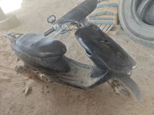 عصفوري نضيفه من