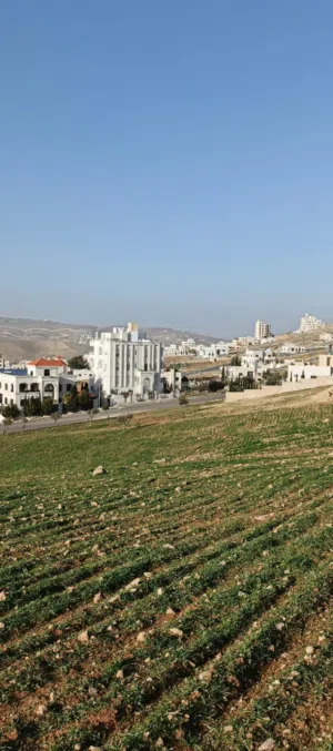 Residential Land for Sale in Amman Shafa Badran