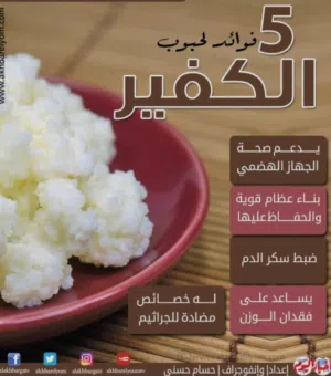 للبيع فطر الكفير (الفطر الهندي الأصلي) تكاثر منزلية