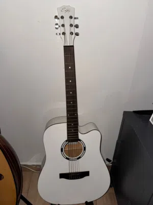 Acoustic guitar enjoy E41DDLWH