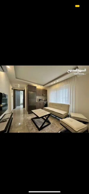 40 m2 Studio Apartments for Rent in Amman University Street