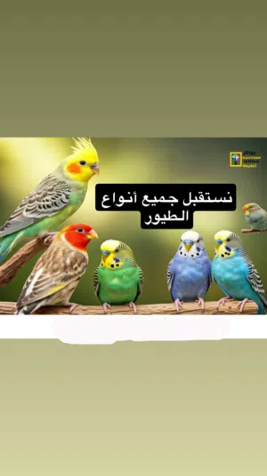 تبني جميع أنواع الطيور