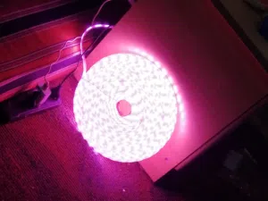 حبل LED ضد الماء طول 30 متر لون الإضائة Pink زهري