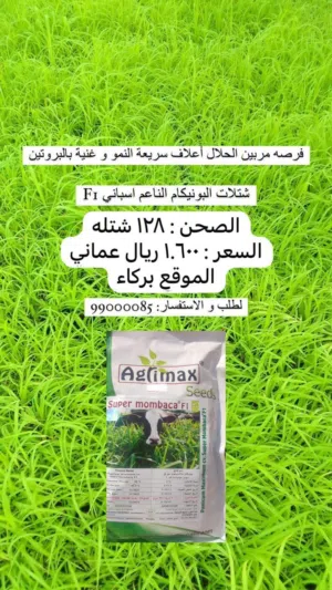 شتلات البونيكام الناعم اسباني F1