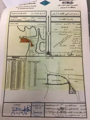 ارضين زراعيه في البريمي صعراء