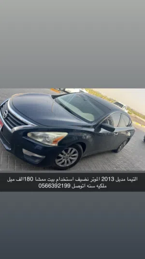 التيما مديل 2013