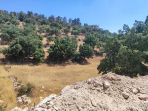 Residential Land for Sale in Amman Abu Al-Sous