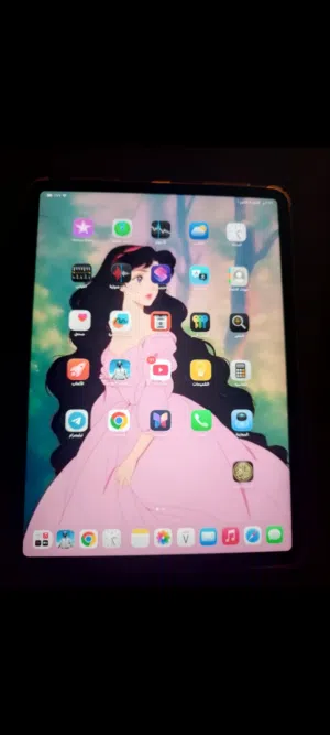 Apple iPad Air 11 256 GB in Amman