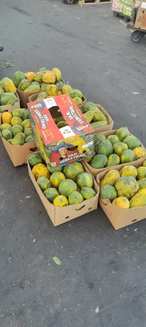 We are Provided  Fresh  Vagetable and  Fruits.