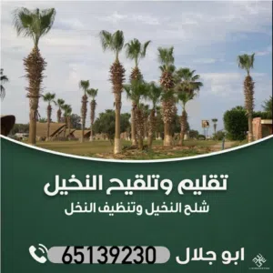 شلح النخيل