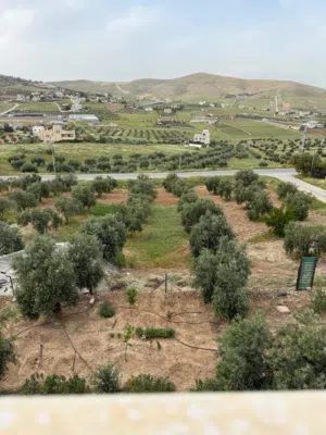 4 Bedrooms Farms for Sale in Zarqa Sarout
