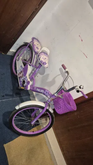 kids biycycle for sale 8 to 10 years good candition.