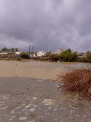 شهاب الجامودي 