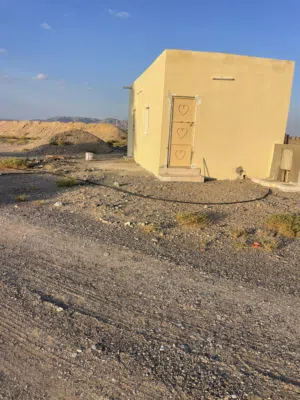 ‏زراعية ‏.‏ 9675 م٢ ‏.‏ المالك‏0