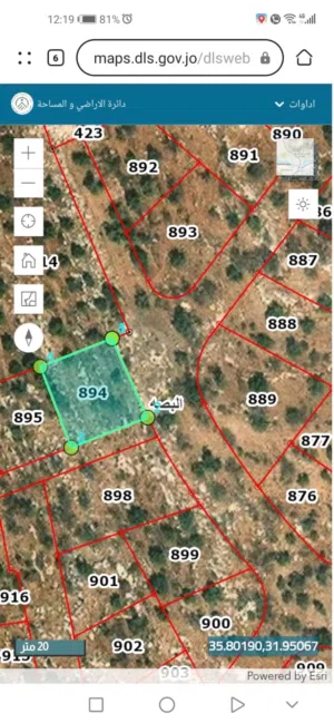 Residential Land for Sale in Amman Abu Al-Nair
