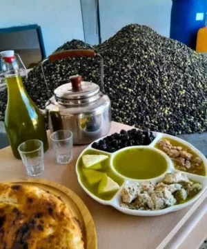 زيت زيتون تونسي