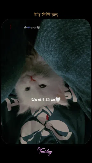 بسه للبيع الوحده سعرها ب