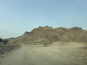 Farm . Yearly . 400 m20