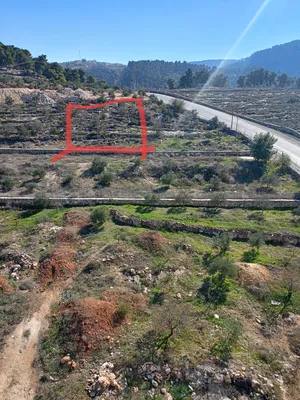 Mixed Use . 1000 m2 . Agent1