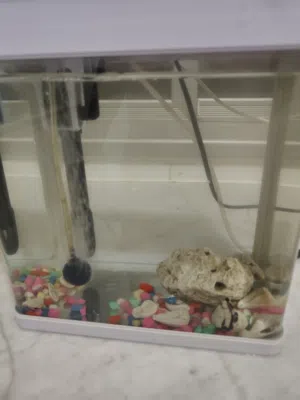aquarium used