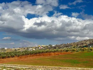 Farm Land for Sale in Zarqa Birayn