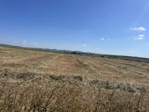 Mixed Use Land for Sale in La Manouba Other