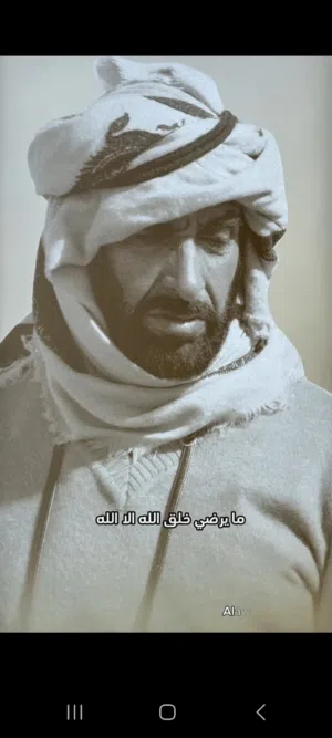 Aly safwat 