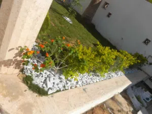 تنسيق الحدائق والمزارع