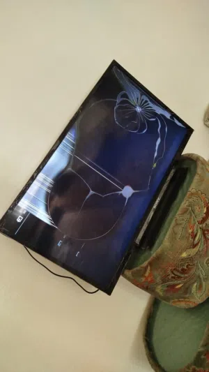 شاشة تلفزيون
