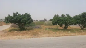 قطعة ارض مستطيلة بـ 3 واجهات في منطقة خلة الحبايبية جنوب الباعيش تاجوراء الجنوبي