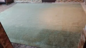 سجاده مستعمله بحاله جيده الطول4مترونص والعرض 4 متر للبيع